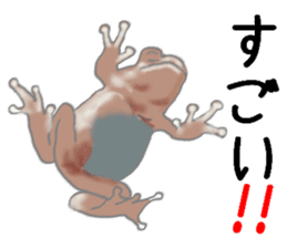Realistic Frog sticker #6590588