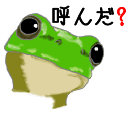 Realistic Frog sticker #6590590