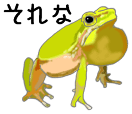 Realistic Frog sticker #6590594