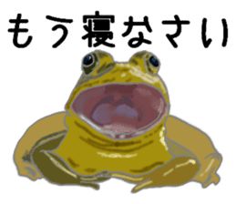 Realistic Frog sticker #6590597