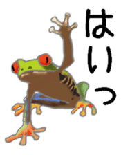 Realistic Frog sticker #6590598