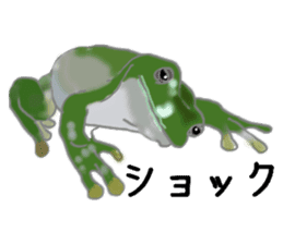 Realistic Frog sticker #6590600