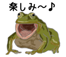 Realistic Frog sticker #6590602