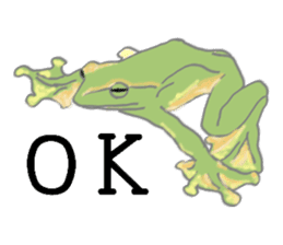 Realistic Frog sticker #6590604