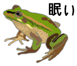 Realistic Frog sticker #6590606