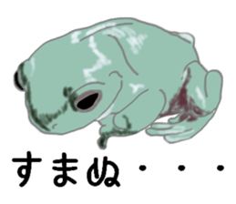 Realistic Frog sticker #6590607