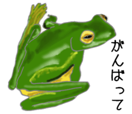 Realistic Frog sticker #6590612