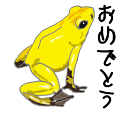 Realistic Frog sticker #6590617