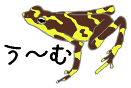 Realistic Frog sticker #6590618