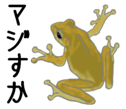 Realistic Frog sticker #6590619