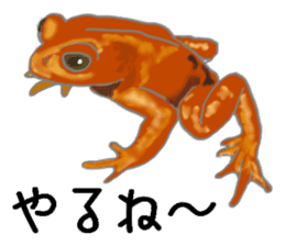 Realistic Frog sticker #6590621