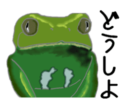 Realistic Frog sticker #6590622