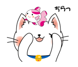 Cat *3 chick (one's own pace) dog sticker #6593794