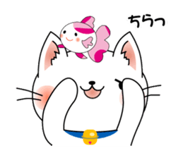 Cat *3 chick (one's own pace) dog sticker #6593794