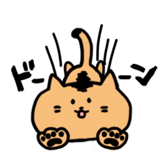 The cat in my neighborhood