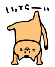 The cat in my neighborhood sticker #6596627