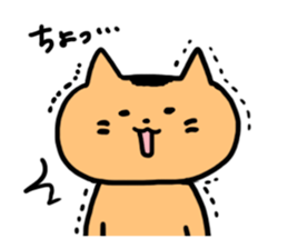 The cat in my neighborhood sticker #6596629