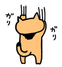 The cat in my neighborhood sticker #6596656