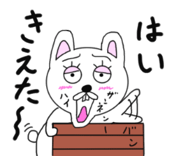 Various rabbit 3rd sticker #6598864