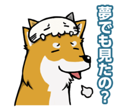 Shiba! sticker #6599627