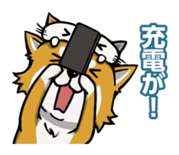 Shiba! sticker #6599630