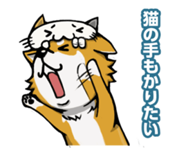 Shiba! sticker #6599632