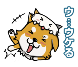 Shiba! sticker #6599634