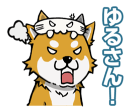 Shiba! sticker #6599636