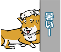 Shiba! sticker #6599641