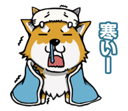 Shiba! sticker #6599642