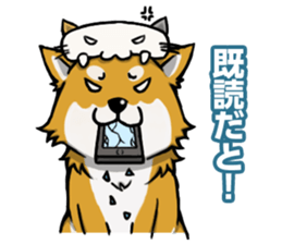 Shiba! sticker #6599643