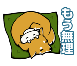 Shiba! sticker #6599644