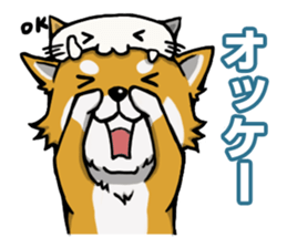 Shiba! sticker #6599645