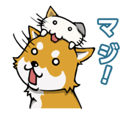 Shiba! sticker #6599646