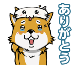 Shiba! sticker #6599649