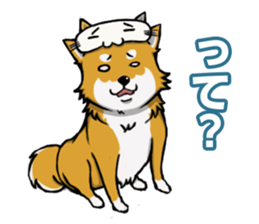 Shiba! sticker #6599651