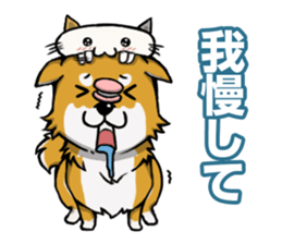 Shiba! sticker #6599653