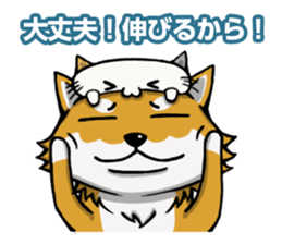Shiba! sticker #6599654