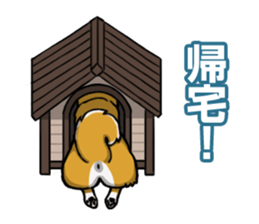 Shiba! sticker #6599655