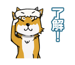 Shiba! sticker #6599659