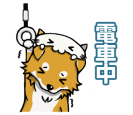 Shiba! sticker #6599660