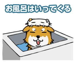 Shiba! sticker #6599661