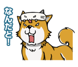 Shiba! sticker #6599662