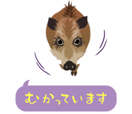 ANIMALS_STICKER sticker #6601191