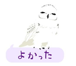 ANIMALS_STICKER sticker #6601210