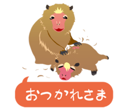 ANIMALS_STICKER sticker #6601220