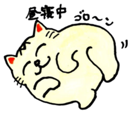 m cat kansai dialect sticker #6602226