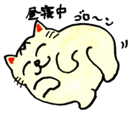 m cat kansai dialect sticker #6602226