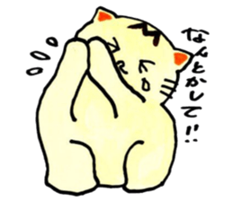 m cat kansai dialect sticker #6602232