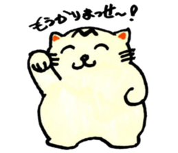 m cat kansai dialect sticker #6602241